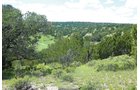 Property photo 38 - 7,320 Acres Offered in 5 Tracts